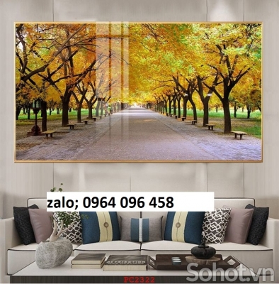 Tranh gạch 3d phong cảnh rừng cây cổ thụ - BV62