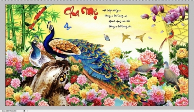 Tranh gạch 3D hình chim công đẹp