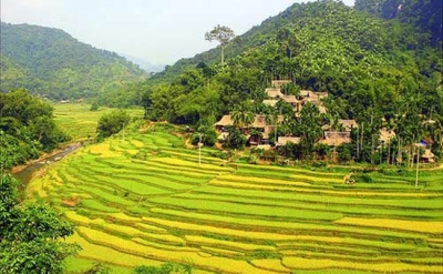tranh 3d - tranh gạch 3d mệnh kim - AVV5