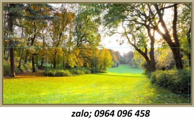 Tranh gạch 3d phong cảnh thiên nhiên - FDC555