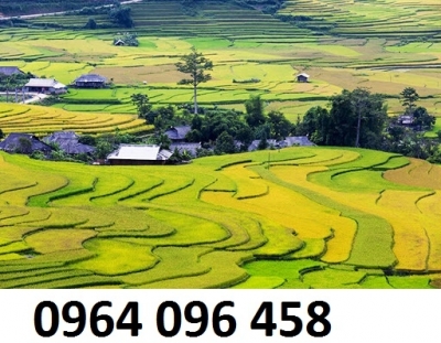 Tranh gạch 3d ruộng bậc thang - SXV887