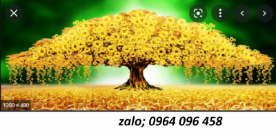 Tranh gạch 3d cây kim tiền - HBCC44