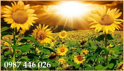 Gạch tranh tương vườn hoa HP2646