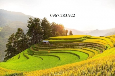 Tranh 3D- Tranh gạch đồng quê