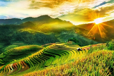 Tranh gạch 3d ruộng bậc thang - XVCC65