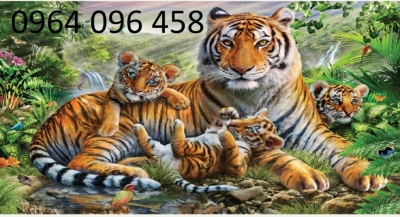 Tranh con hổ - tranh gạch 3d con hổ - DCD3