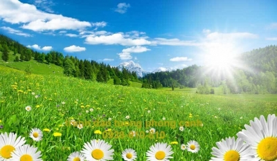 Tranh gạch 3d vườn hoa thiên nhiên - CBBN64