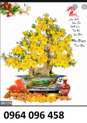 Tranh cây mai 3d - tranh gạch 3d cây mai - H002