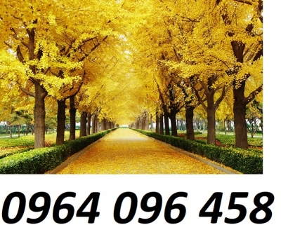Tranh gạch 3d cây lá vàng - 943S