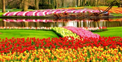 Tranh 3D- Tranh phong cảnh vườn hoa