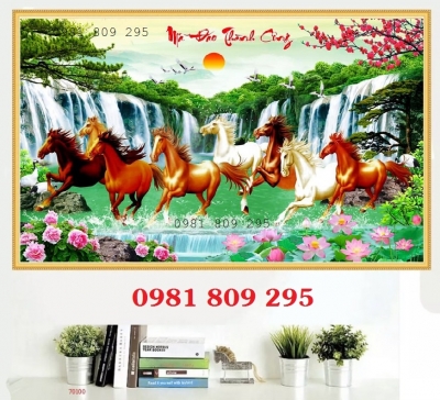 Gạch ốp tường bát mã HP5656