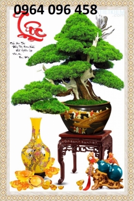 Tranh gạch 3d cây cảnh - FSCC3