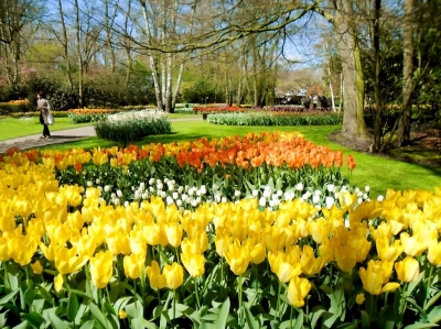 Tranh gạch 3d vườn hoa thiên nhiên - FSZ111