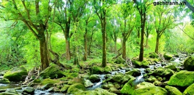 Tranh gạch 3d phong cảnh rừng cây cổ thụ - 355XC
