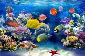 Tranh gạch 3d ốp tường phòng tắm - XC544