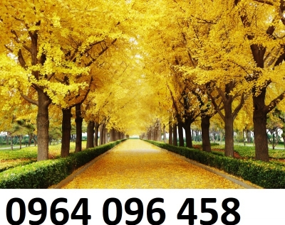 Tranh gạch men 3d phong cảnh đồng quê - SCX53