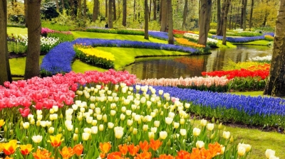 Tranh phong cảnh ốp tường- Tranh vườn hoa 3D