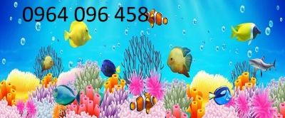 Tranh gạch 3d cá heo 543SM