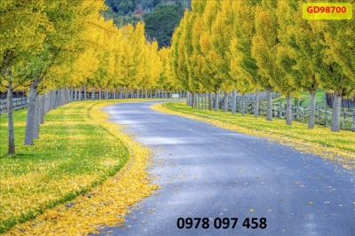 Gạch tranh hoa tiết phong cảnh mùa thu