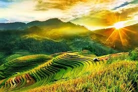 Tranh gạch 3d ruộng bậc thang - CX43