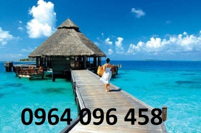 tranh gạch 3d ốp tường - 67H