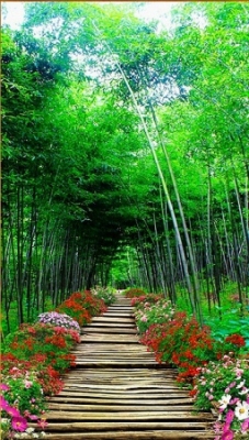 Tranh gạch 3d con đường hàng cây - FDS93