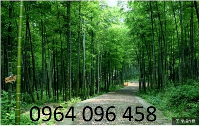 Tranh gạch 3d tre trúc - TKMN6