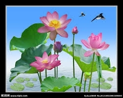 Gạch tranh 3d ốp tường mẫu hoa sen - GSA21