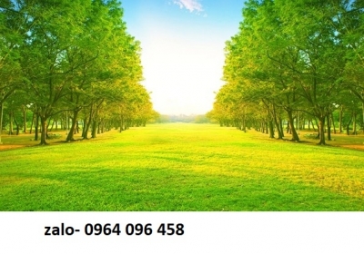 Tranh gạch 3d ốp tường ngoài trời - CVNN01