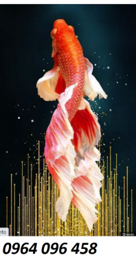 Tranh cá 3d - tranh gạch 3d cá - SXM54