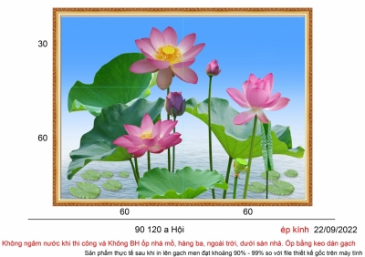 Gạch tranh họa tiết hoa sen