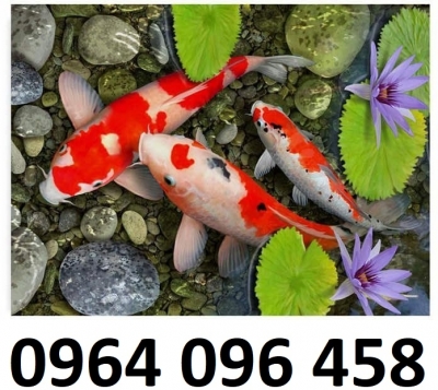 Tranh gạch men cá chép 3d - 75XL