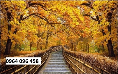 Tranh gạch 3d ốp tường rừng cây - SKM088