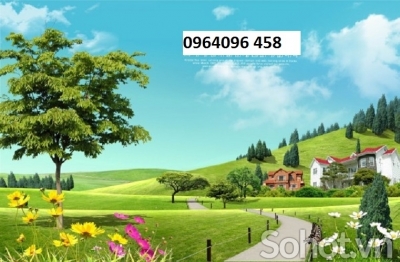Tranh gạch 3d ốp tường tranh vườn hoa - CZX22
