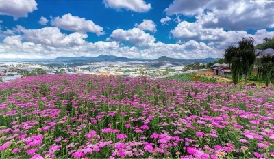 Tranh trang trí phòng khách- gạch tranh vườn hoa