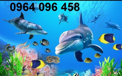 gạch tranh 3d cá heo - 34DF