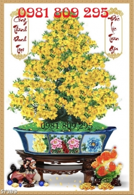 Tranh gạch men 3d hoa mai vàng , cây mai HP789876