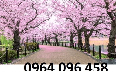 Tranh gạch 3d tranh hoa đào - XVC4211