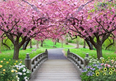 gạch tranh phong cảnh vườn hoa