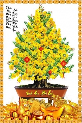 tranh gạch 3d chậu mai - XV56