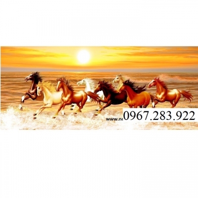 Gạch trang trí mã đáo thành công