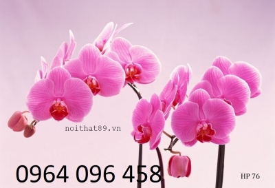 Tranh gạch 3d hoa lan - SXB55