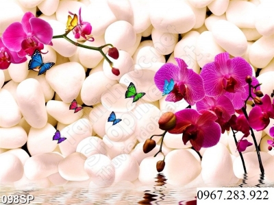 Tranh hoa lan ốp tường phòng khách- Tranh 3D
