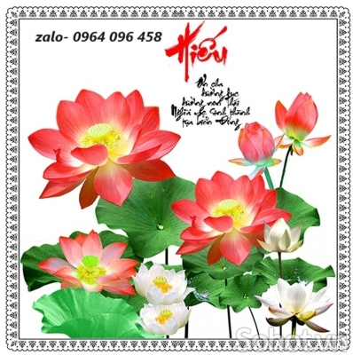 Tranh gạch 3d ốp tường tranh hoa sen - MM900